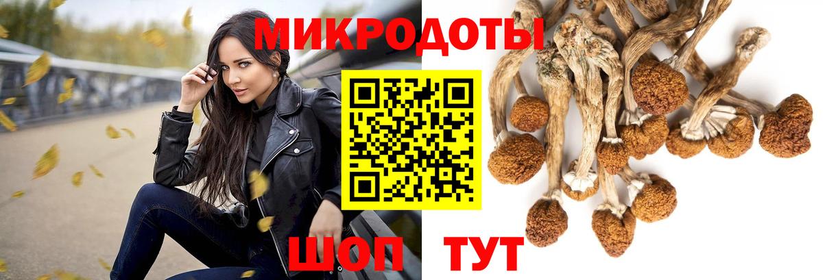Галлюциногенные грибы GOLDEN TEACHER  Галлюциногенные грибы Psilocybe  купить   Вход с VPN  Калуга 